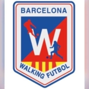 Nº 31 PACO PALOMINO